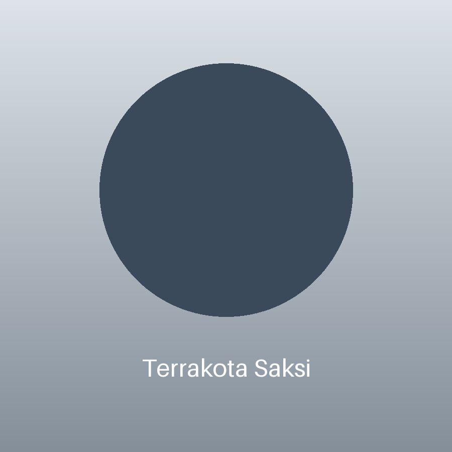 Terrakota Saksı