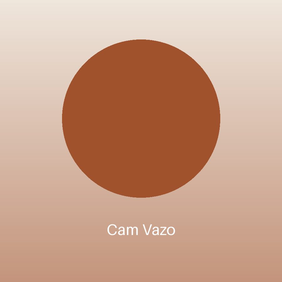 Cam Vazo